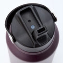 Flip Straw Bottle 1.2L - Autumn Berry