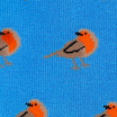 Robin Socks - Blue