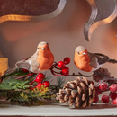 Robin Décor 2 Pack