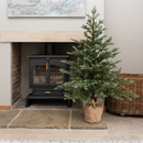 155cm Pine Tree In Burlap Base