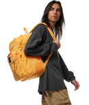 Big Student - Orange Soda