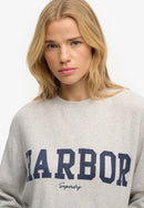 Athletic Essentials Graphic Long Sleeve Top - Glacier Grey