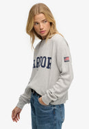 Athletic Essentials Graphic Long Sleeve Top - Glacier Grey