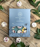 Set of 12 Wax Melts - Rosehip & Bramble Leaf