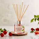 Homegrown Reed Diffuser 100ml - Tomato Leaf