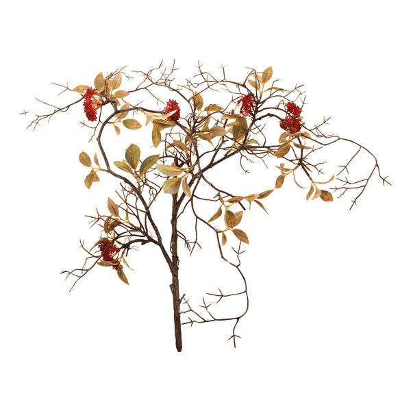 55cm Ixoria Trailing Spray Orange