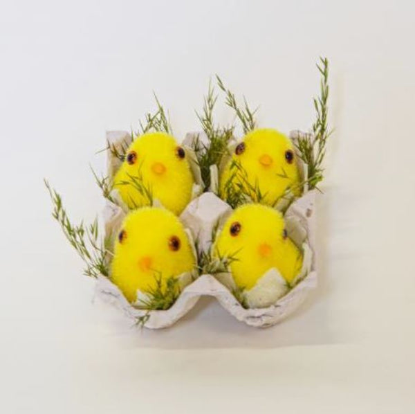 4 Chick in Egg Tray