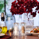 London Acrylic Salt/Pepper Shaker