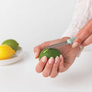 Tasty+ Food Peeler plus Zester Jade Green