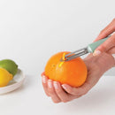 Tasty+ Food Peeler plus Zester Jade Green