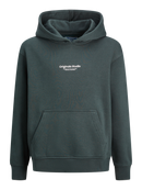 Vesterbro Hoodie - Forest River