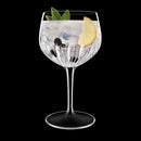 Mixology Spanish Gin Set of 4