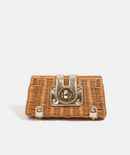 Lulu Petite Crossbody Clutch Bag - Gold