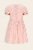 Mila Lace Dress - Pale Blush