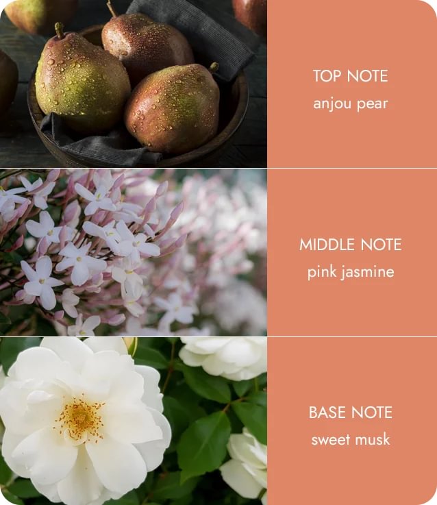 Twin Wick Candle - Angel Touch