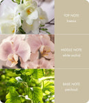 Fragrance Diffuser - Love Always