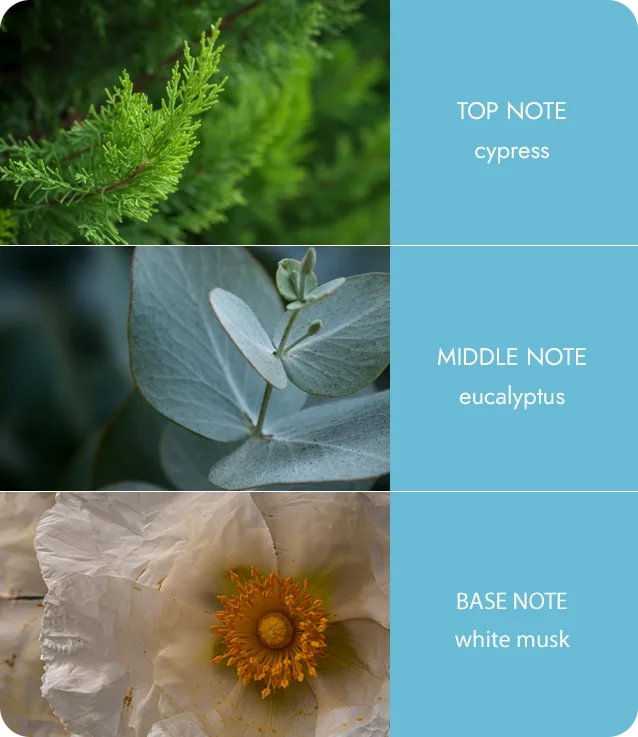 Fragrance Diffuser - Tranquillity