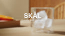 SKÅL Double Wall Whiskey Tumbler Set