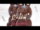Chocolate Rabbit Mould