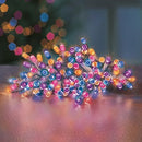50 LED Battery Operated - Rainbow