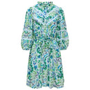 Lace Detail Print Dress - Green