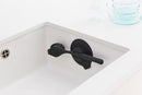 Dish Brush and Suction Cup Holder