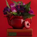 6 Cup Teapot - Red