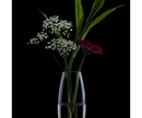 23cm Vase Gift Boxed