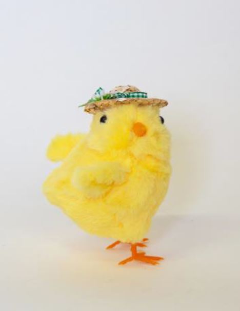 Chick with Hat