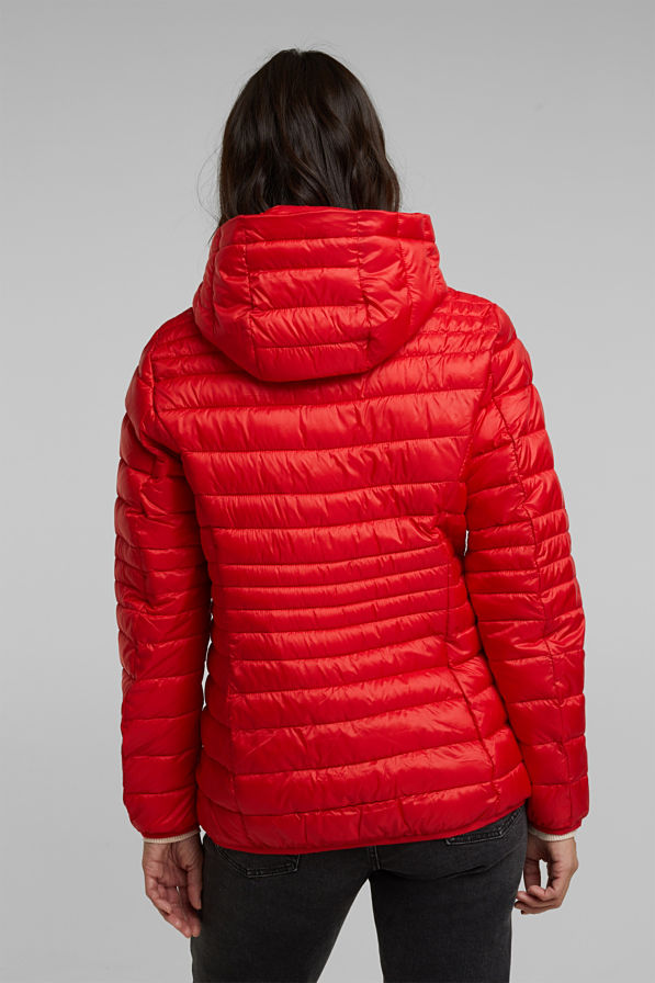 Quilted Thinsulate Jacket - Red