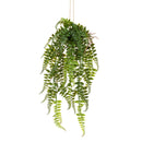 Hanging Fern 61cm
