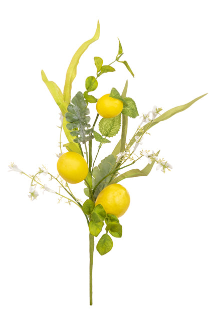 Lemon Foliage Pick 46cm