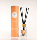Reed Diffuser - Spiced Gingerbread