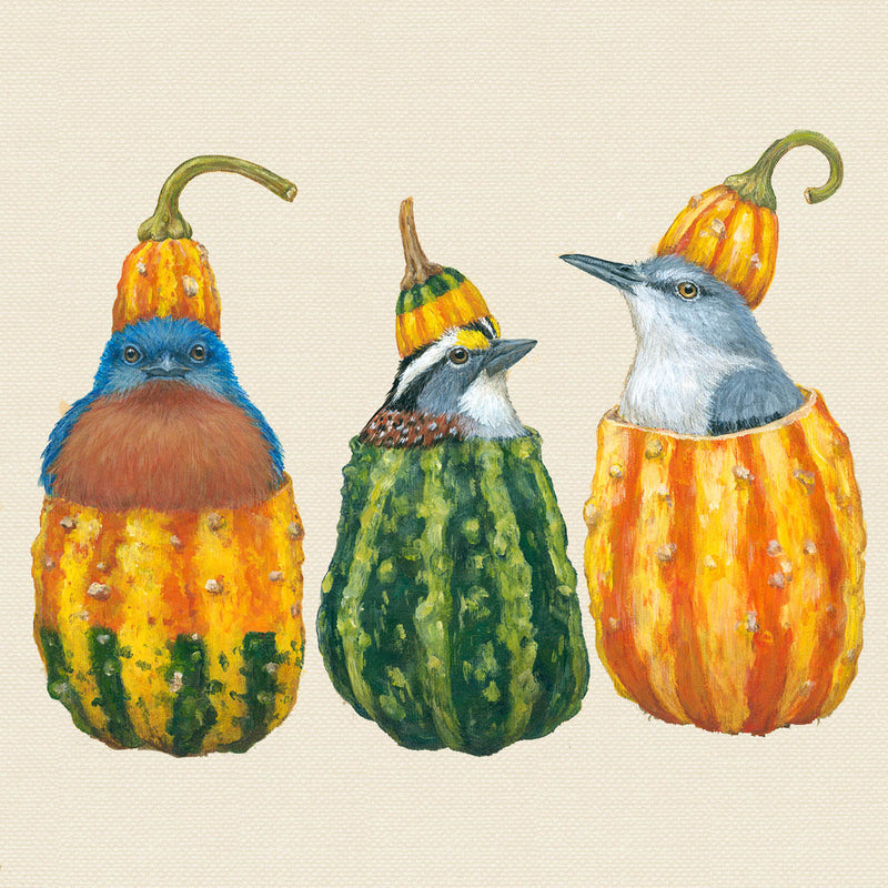 Pack Of 20 Napkins - Out Of My Gourd
