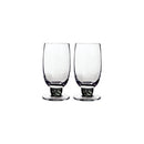 Large Tumbler Set of 2 - Jet