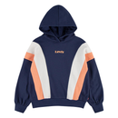 Colorblock Hoodie - Peacoat