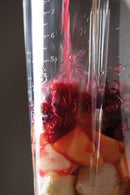 Diamond 1.7L Blender - Empire Red