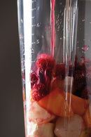 Diamond 1.7L Blender - Empire Red