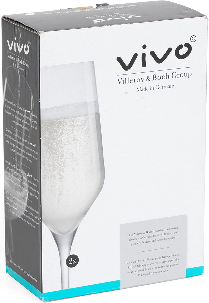 Vivo Set of 2 Champagne Glasses