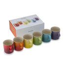 Rainbow Set of 6 Mugs 350ml