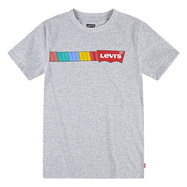 Boys Long Sleeve Graphic T-shirt - Heather Grey