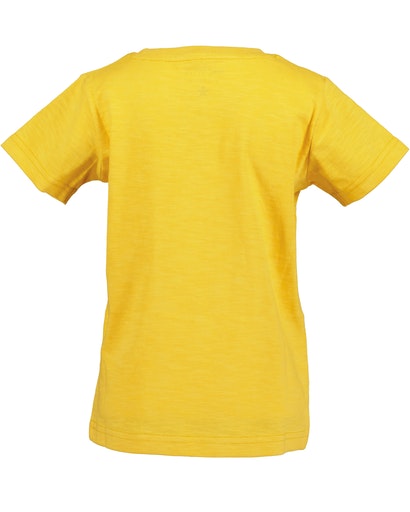 Boys Short Sleeve T-Shirt - Honey