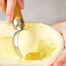 Naturals Ice Cream Scoop