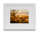 John Galvin Framed Print - Woodland Pheadants