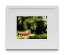 John Galvin Framed Print - Tranquil Times