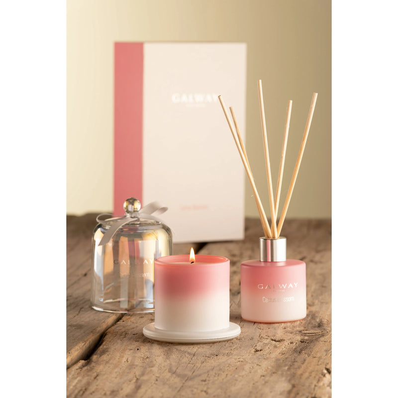 Cactus Blossom Gift Set