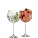 Erne Gin & Tonic Pair