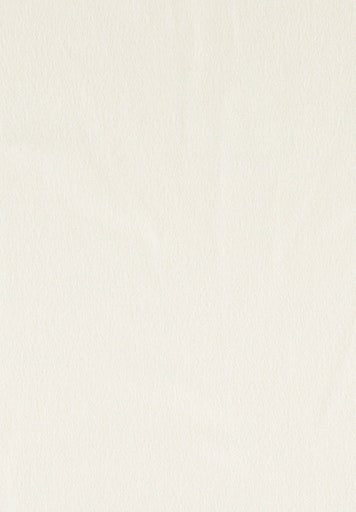 Cashmink Scarf - Light Beige