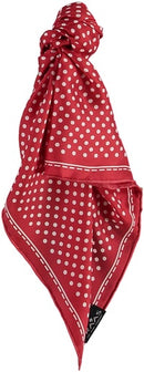 Silk Bandana - Deep Red