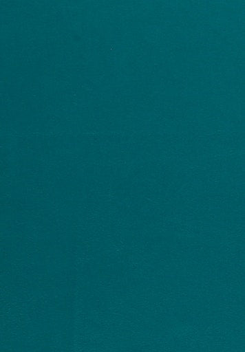 Cashmink Scarf - Turquoise